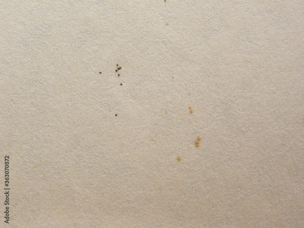 Old beige color paper textured background with stains Old beige color paper textured background with stains