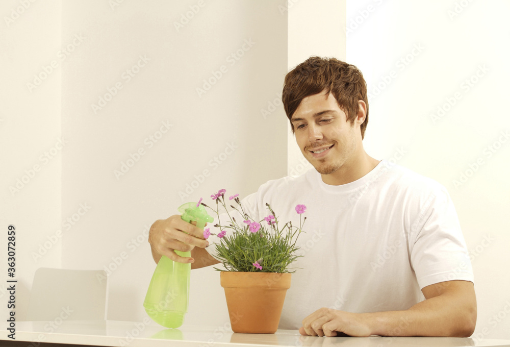 Man spraying a potted flower