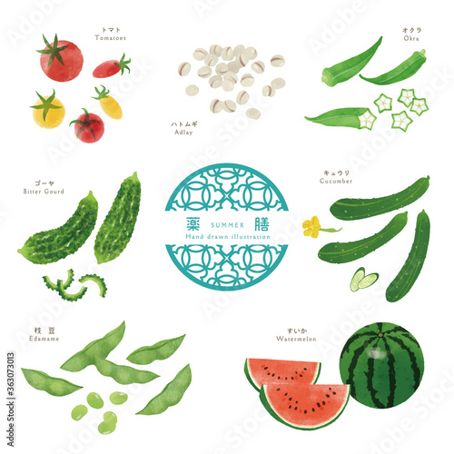 夏の薬膳/手描きの食材イラスト