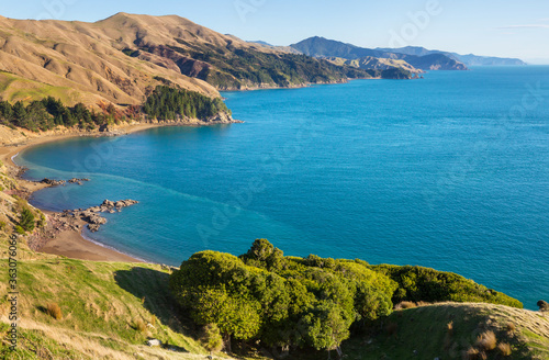 New Zealand coast © Galyna Andrushko