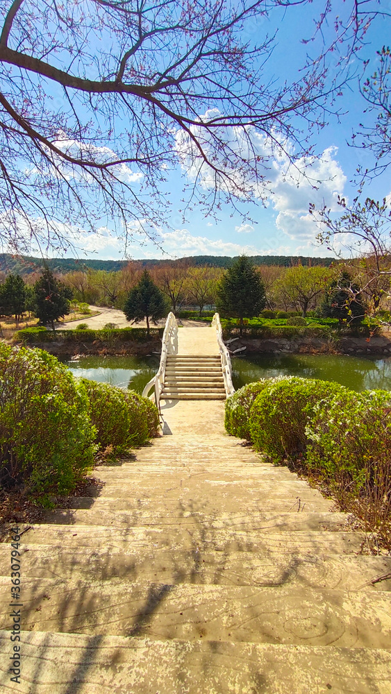 stair path and bridge in spring in the park