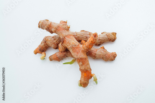 Close up fresh raw organic turmeric curcuma roots isolated on white background with clipping path