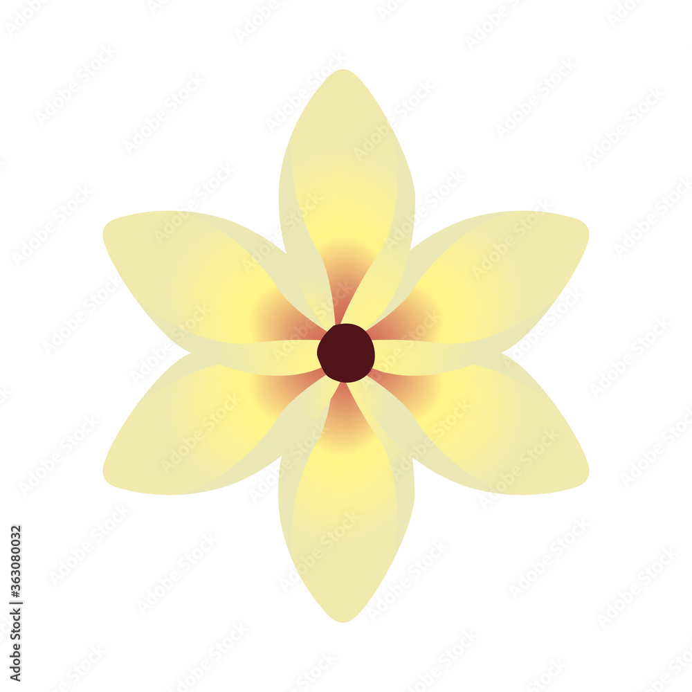 tropical and exotic yellow flower icon
