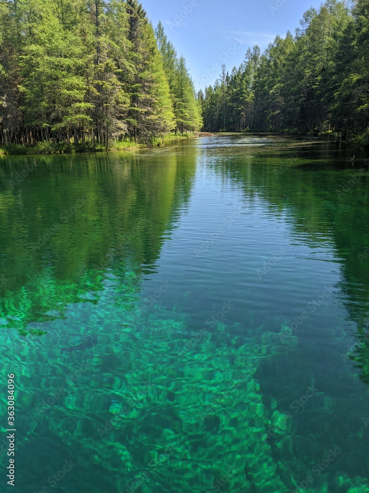 lake in the forest lake in the forest
