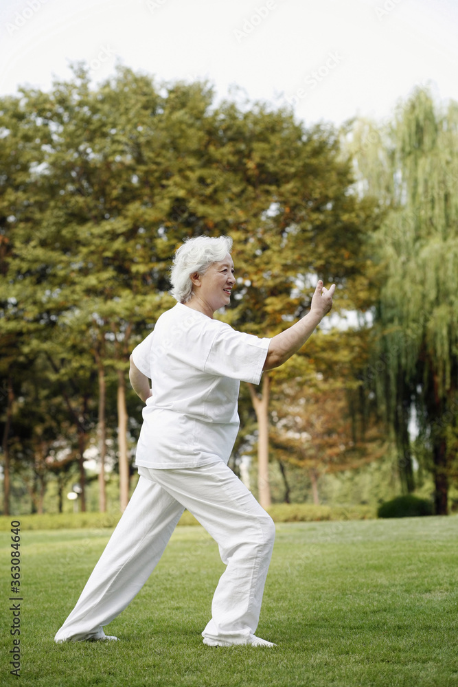 Senior woman practising tai chi in the park