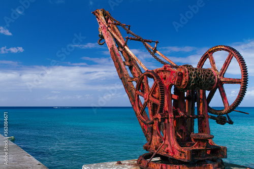 Red Crane in the Caribbean