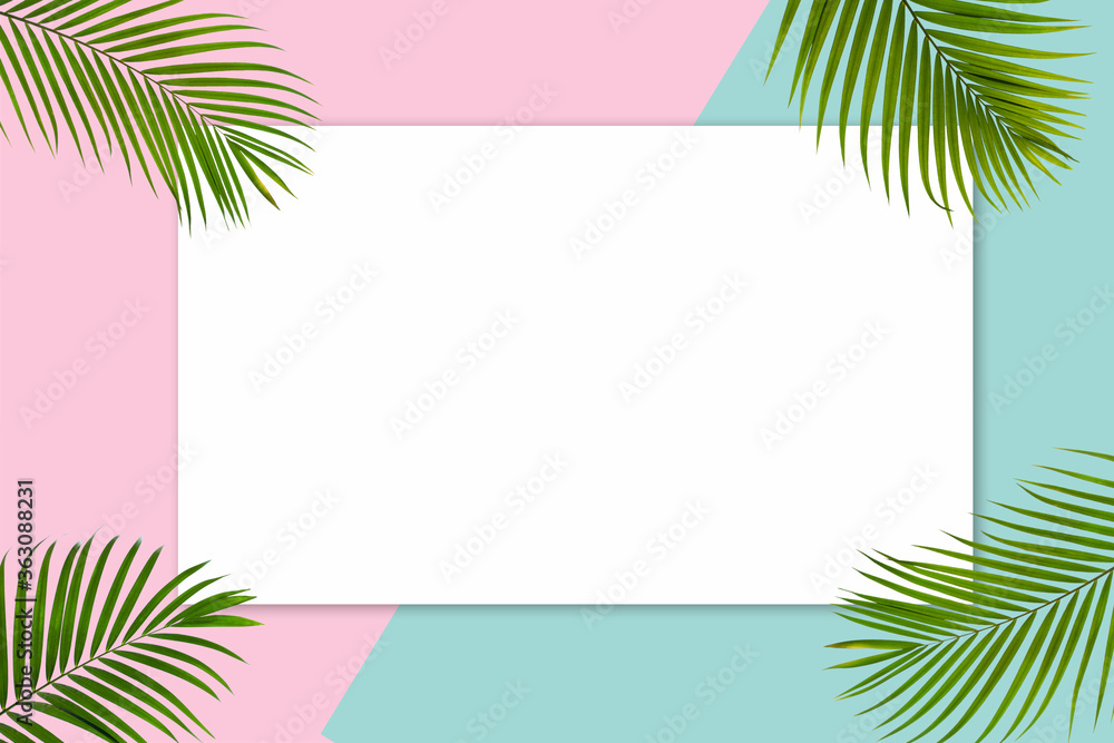Natural green palm leaf with white frame on pastel pink and blue background, flat lay Natural green palm leaf with white frame on pastel pink and blue background, flat lay