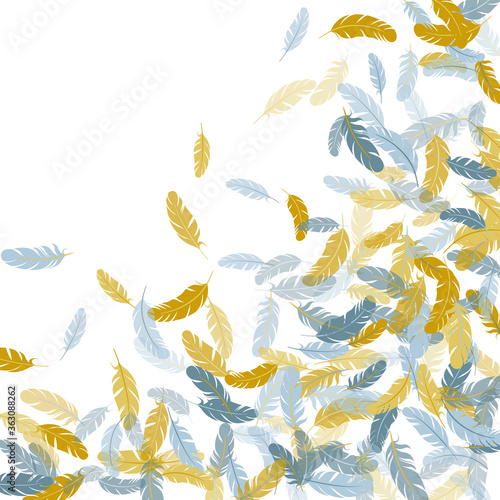 Detailed majestic feather on white design.