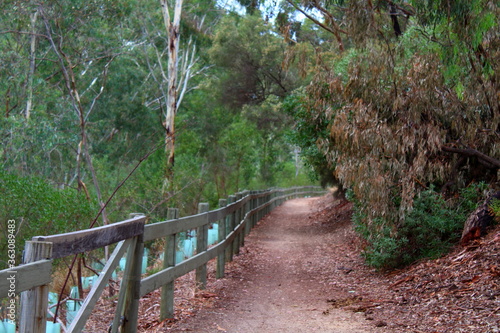 Footpath in Adelaide  Australia