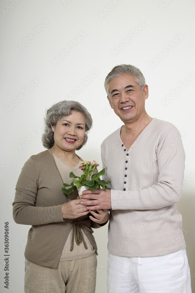Senior man giving senior woman a potted plant Senior man giving senior woman a potted plant