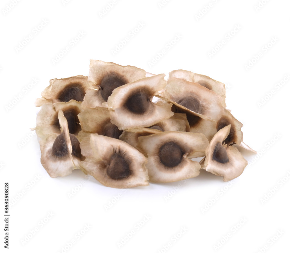 Moringa Oleifera Medicinal and Culinary Fruit Seed Closeup Isolated on White Background. Also Known as Drumstick Tree, Horseradish Tree, and Ben Oil or Benzoil Tree. Moringa Oleifera Medicinal and Culinary Fruit Seed Closeup Isolated on White Background. Also Known as Drumstick Tree, Horseradish Tree, and Ben Oil or Benzoil Tree.