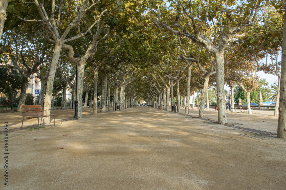 Park photography scene from Calelia, Barcelona, Spain, 2018 