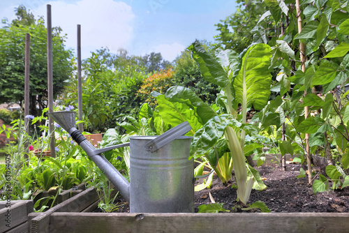 metal watering can placed in a vegetable garden square with vegetables growing