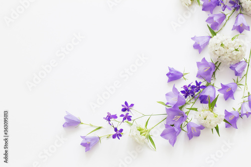 Canvas Print violet wild flowers on white background