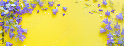 blue wild flowers on yellow background