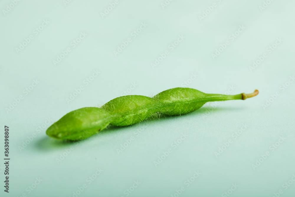 Edamame or soybeans isolated on a turquoise background Edamame or soybeans isolated on a turquoise background