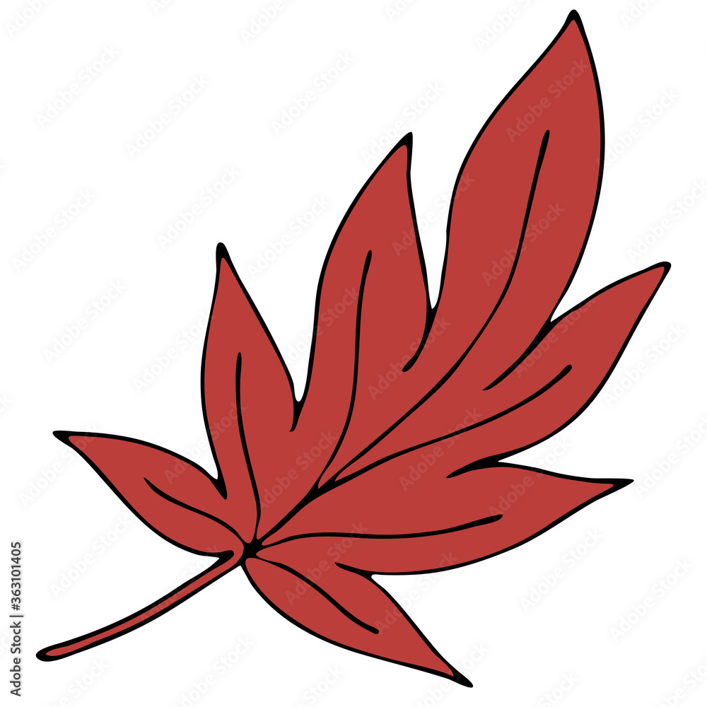 beautiful autumn carved red leaf, chestnut, doodle vector element, black outline
