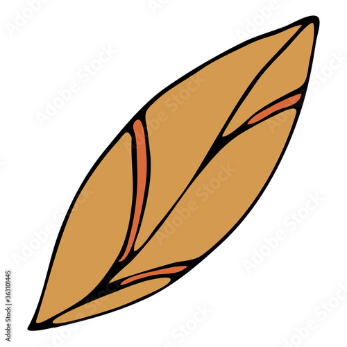 beige leaf with veins, doodle style vector element, black outline