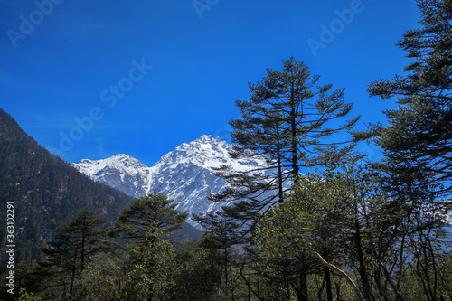 Beautiful scenic image of the Himalayan range as seen from Yumthang valley in Sikkim, India