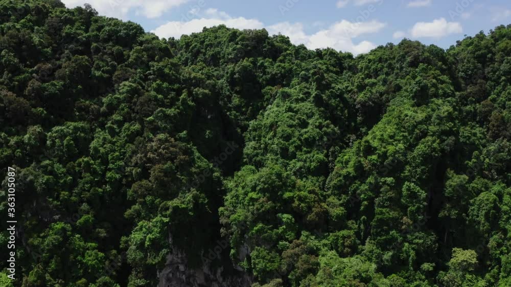 Aerial shot of the Indian temple in Batu caves near Kuala lumpur. Beautiful landscape and green forest. Aerial shot of the Indian temple in Batu caves near Kuala lumpur. Beautiful landscape and green forest.