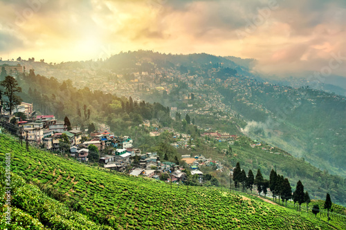 Tea plantations in Darjeeling, West Bengal, India. Stunning views of hills on sunrise.