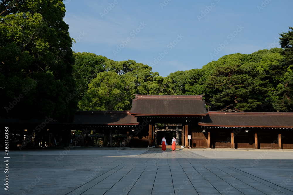 Naklejka premium 巫女