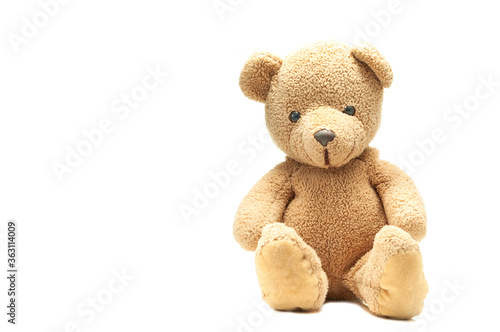 Bear doll teddy bear sitting and looking to camera on white, toy for children.