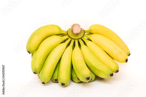 Cavendish bananas isolated on white background.