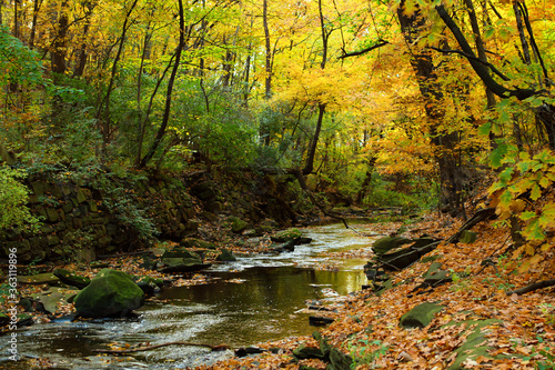 A creek in autumn time.