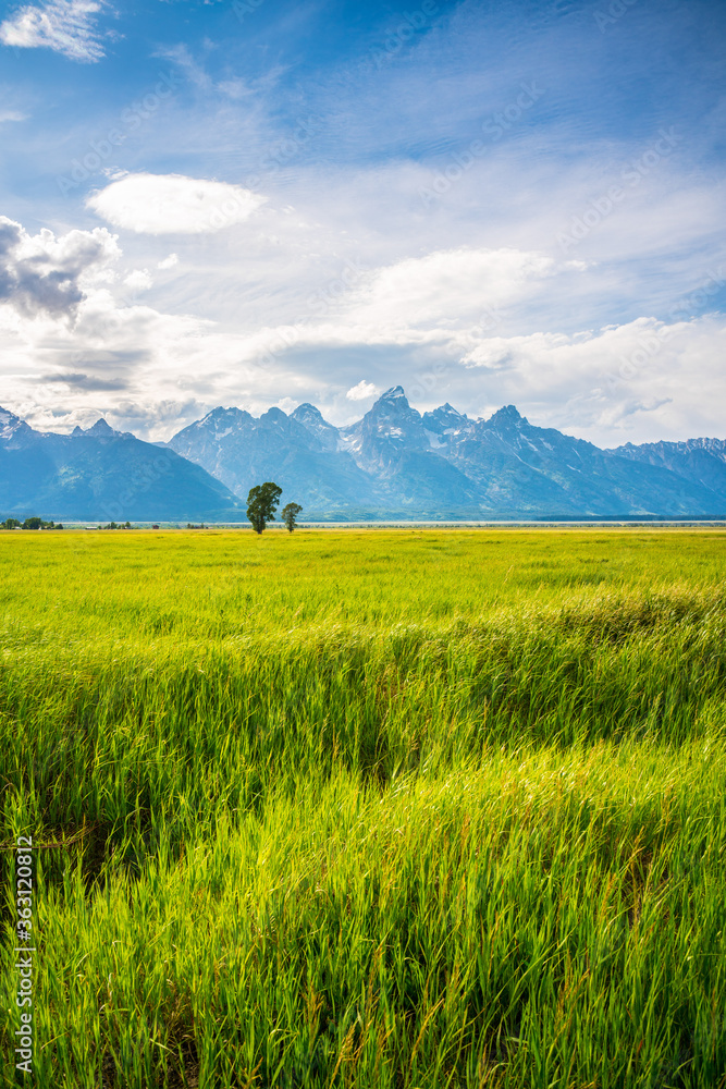 The Grand Teton Ranch, with the mountains in the back.