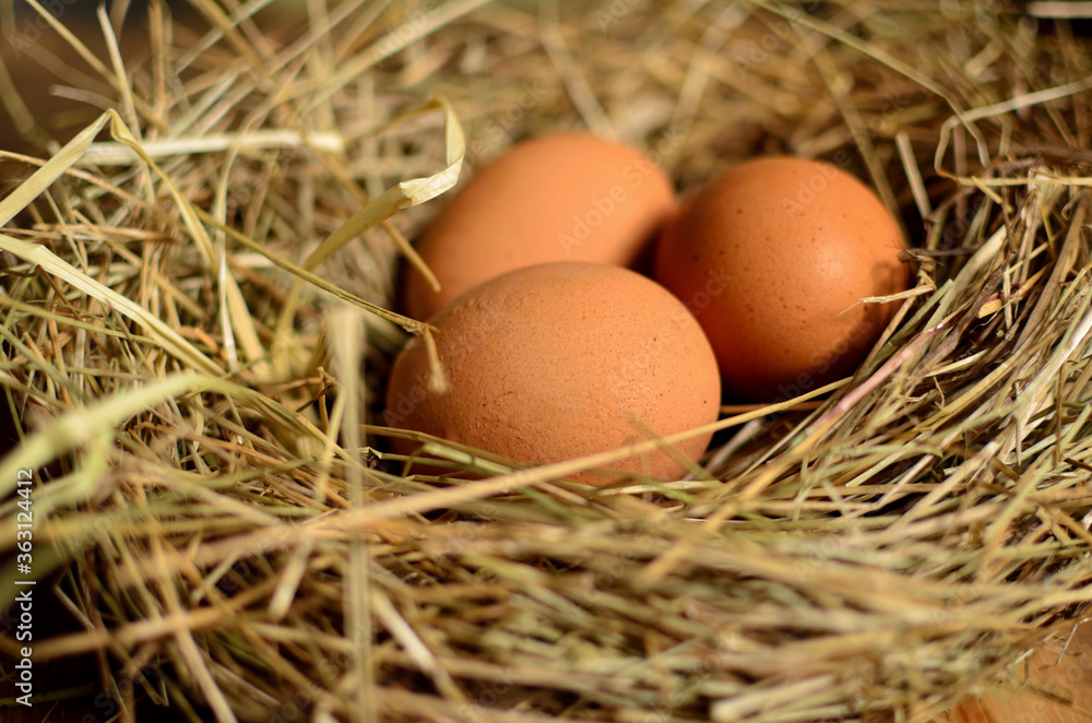chicken eggs in a nest on a background of old wooden boards chicken eggs in a nest on a background of old wooden boards