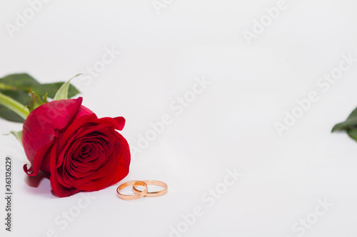 Single red flower rose on white background with golden rings near. Copy space.