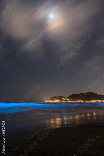 夜光虫の夜