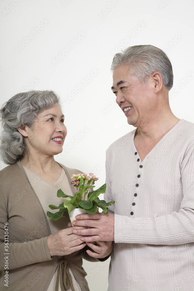 Senior man giving senior woman a potted plant Senior man giving senior woman a potted plant
