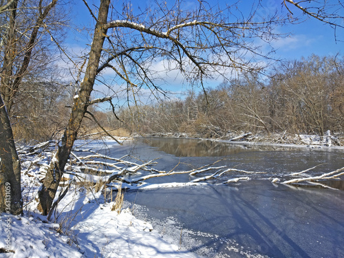 Sunny winter day on the river. Fallen tree trunks in the water covered by snow.