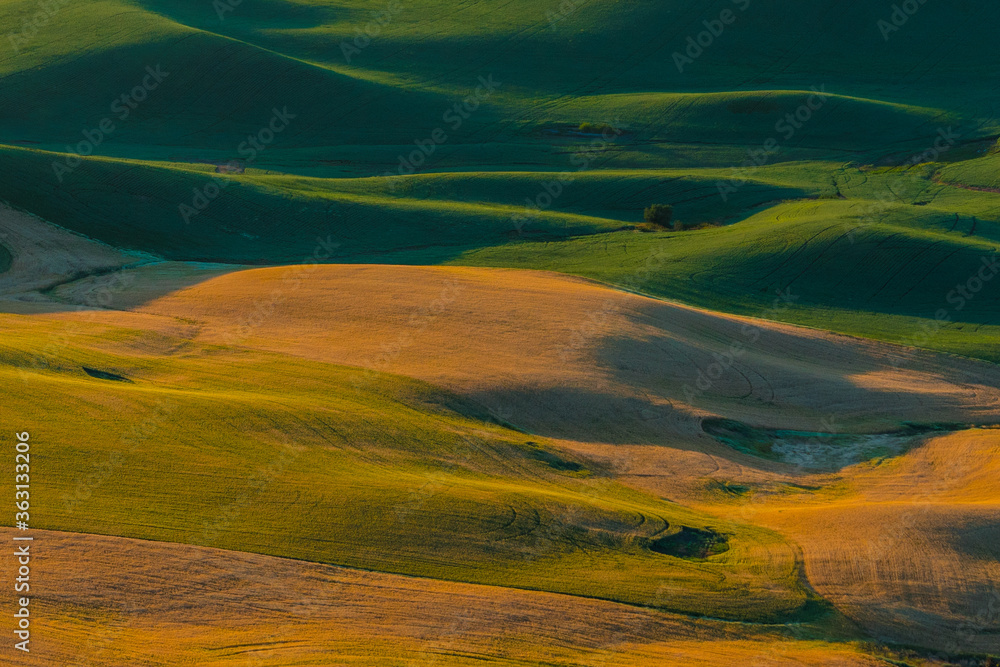 Sunset view of the rolling hills and wheat field in Palouse region, in Washington, USA.