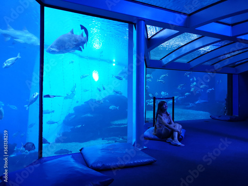 Woman silhouette in front of big aquarium. Dark blue photo with sea fish.
