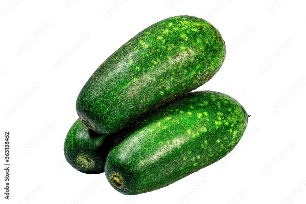 Ingredient Of Fuzzy Melon Without Background Ingredient Of Fuzzy Melon Without Background