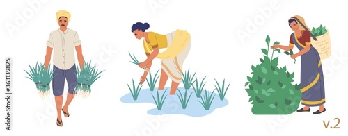 Indian farmer male and female character set, vector flat isolated illustration. People planting rice seedlings and picking tea leaves. Indian farming industry.