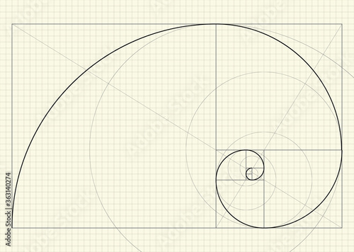 Fibonacci spiral. Golden ratio. Vector drawing.