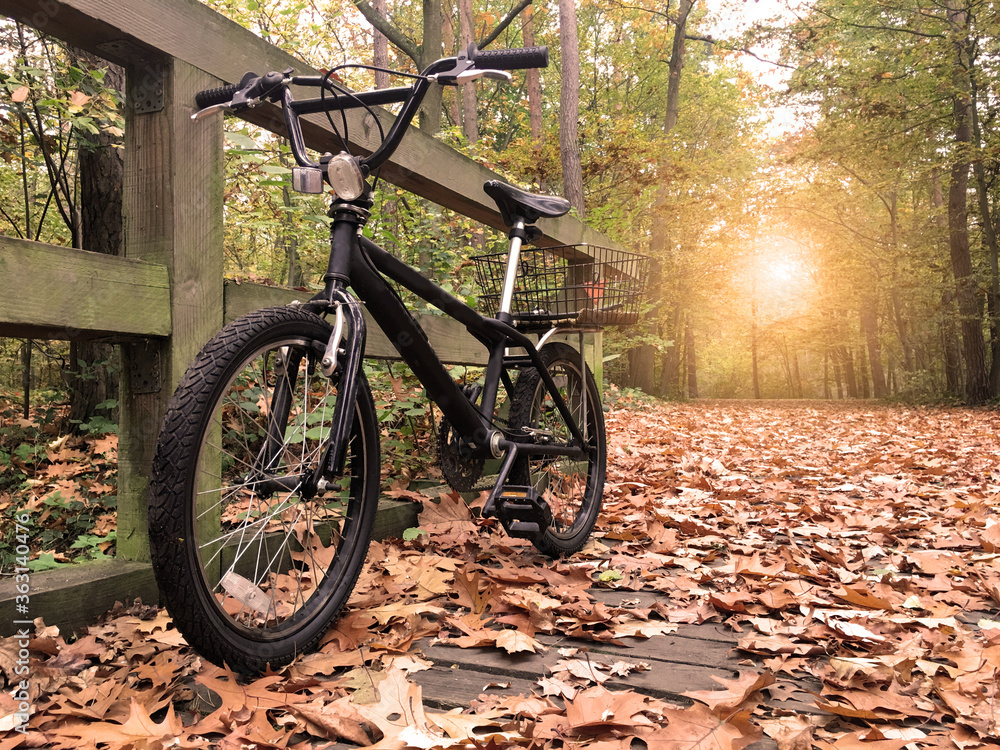 Fototapeta premium A bicycle park on the bridge in the forest