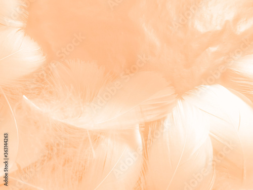 Beautiful abstract white and light orange feathers on white background  soft brown feather texture on white patter  yellow feather background