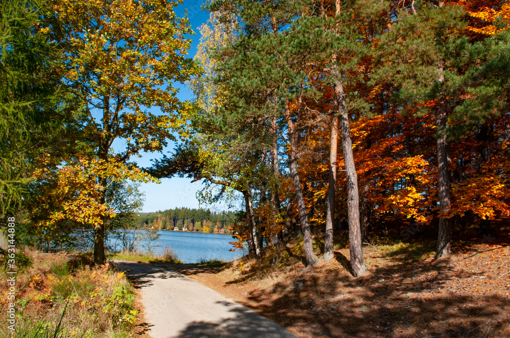 Autumn nature in the highlands. Colorful leaves on the trees, beautiful poetic views. Autumn nature in the highlands. Colorful leaves on the trees, beautiful poetic views.