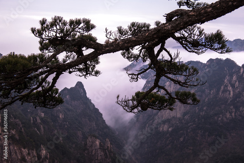 Wonderful and curious sea of clouds and beautiful Huangshan mountain landscape in China. 