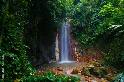 Fényképezés St Lucia Botanical garden