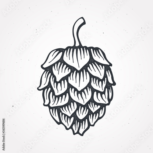 Hop cone. Vector illustration. Beer, pub and alcoholic beverage symbol. Clip-art for packaging, label, menu, signboard, showcase, logo, emblem. Only outline Isolated on white background