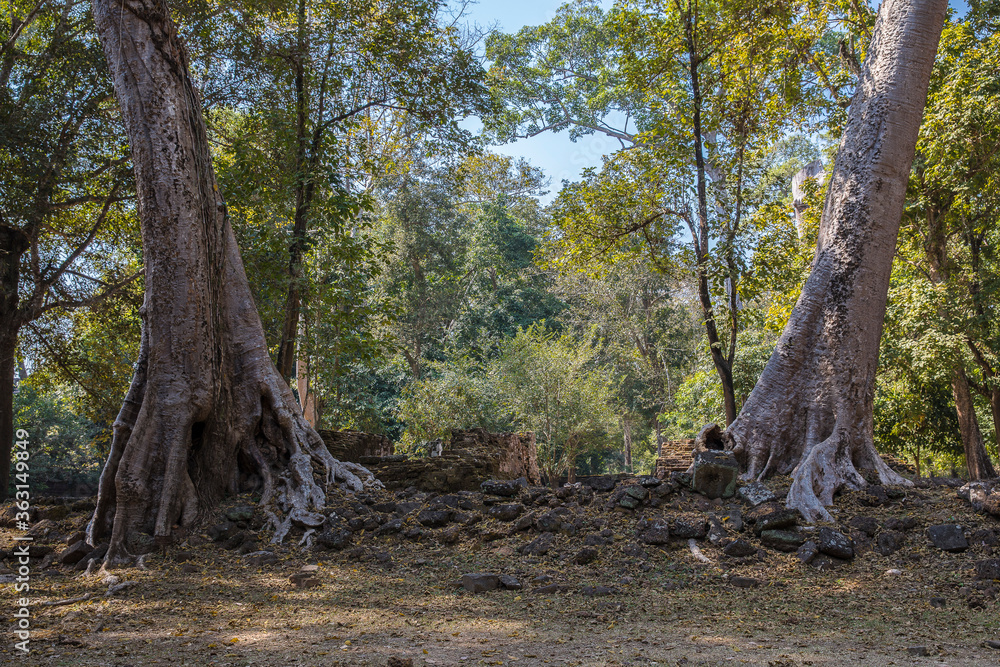 Fototapeta premium angkor thom phimeanakas temple, siem reap, Cambodia