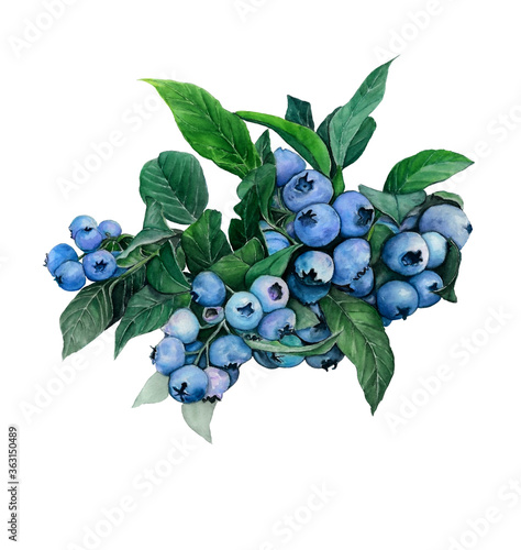 Watercolor illustration of beautiful blueberries with leaves for health and design on white isolated background