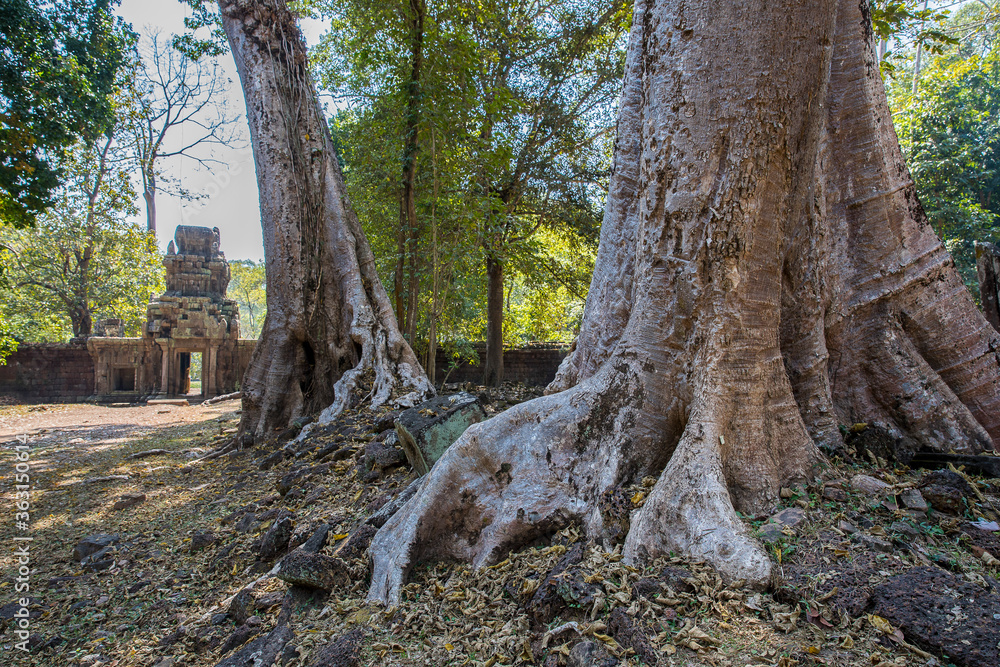 angkor thom phimeanakas temple, siem reap, Cambodia angkor thom phimeanakas temple, siem reap, Cambodia