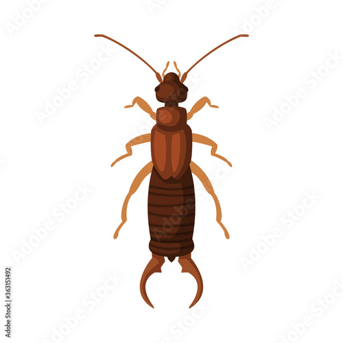 Diplura Insect, Pest Control and Extermination Concept Vector Illustration on White Background